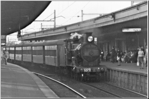 Strathfield 3229.jpg